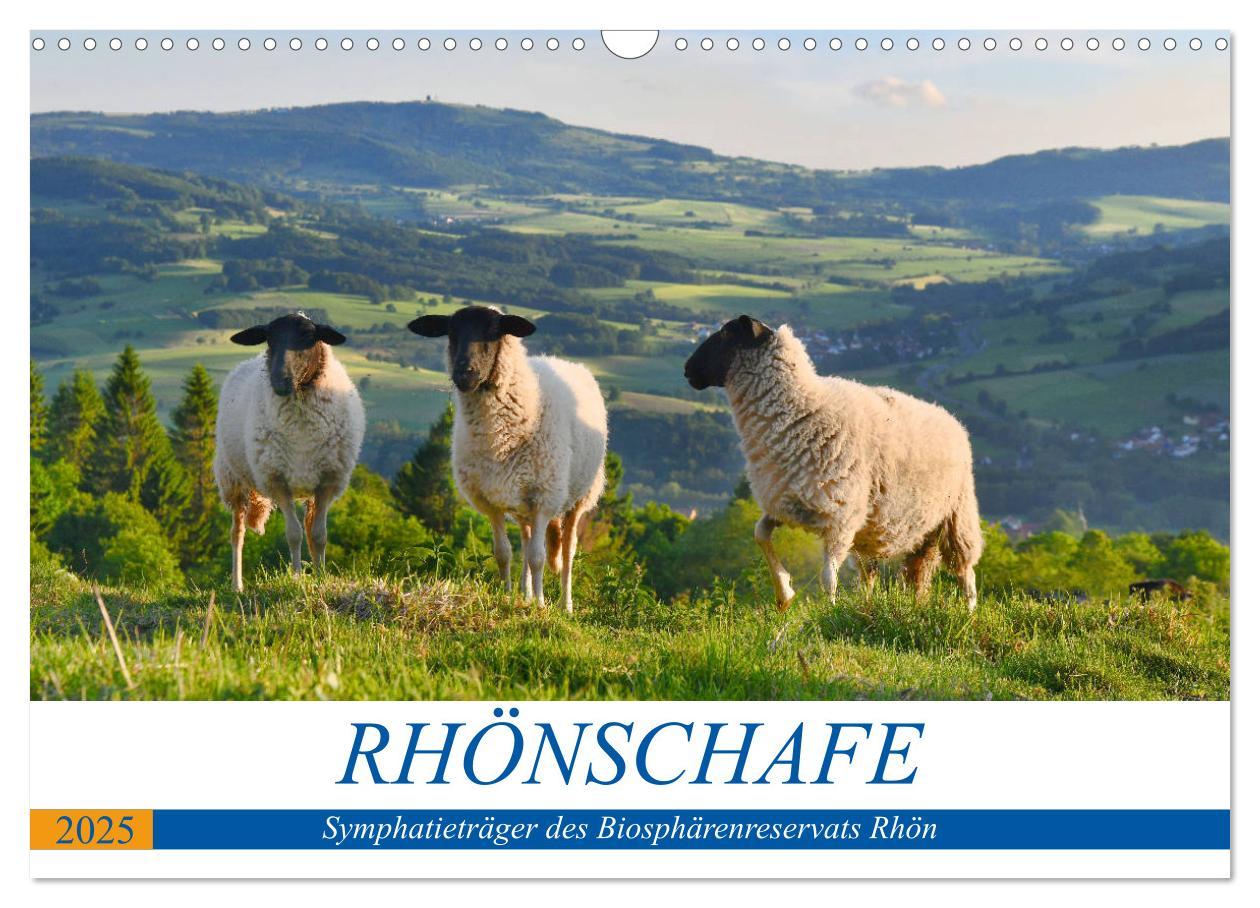 Cover: 9783435121595 | Rhönschafe - Symphatieträger des Biosphärenreservats Rhön...