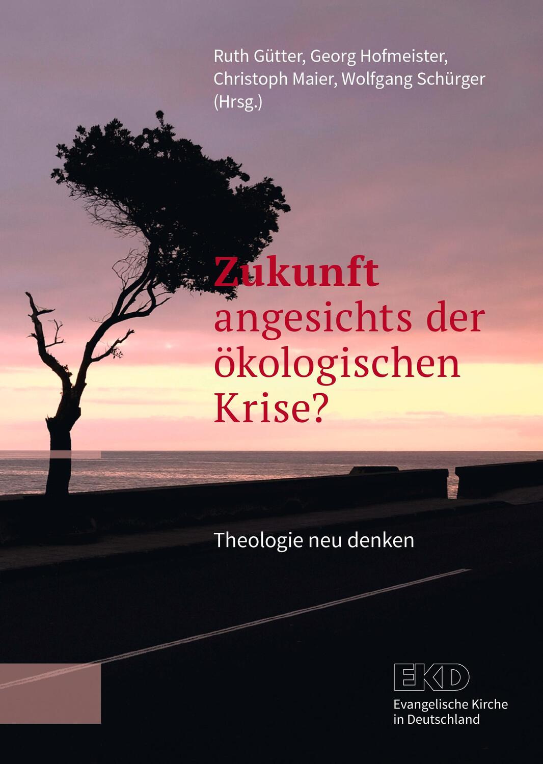 Cover: 9783374070480 | Zukunft angesichts der ökologischen Krise? | Theologie neu denken