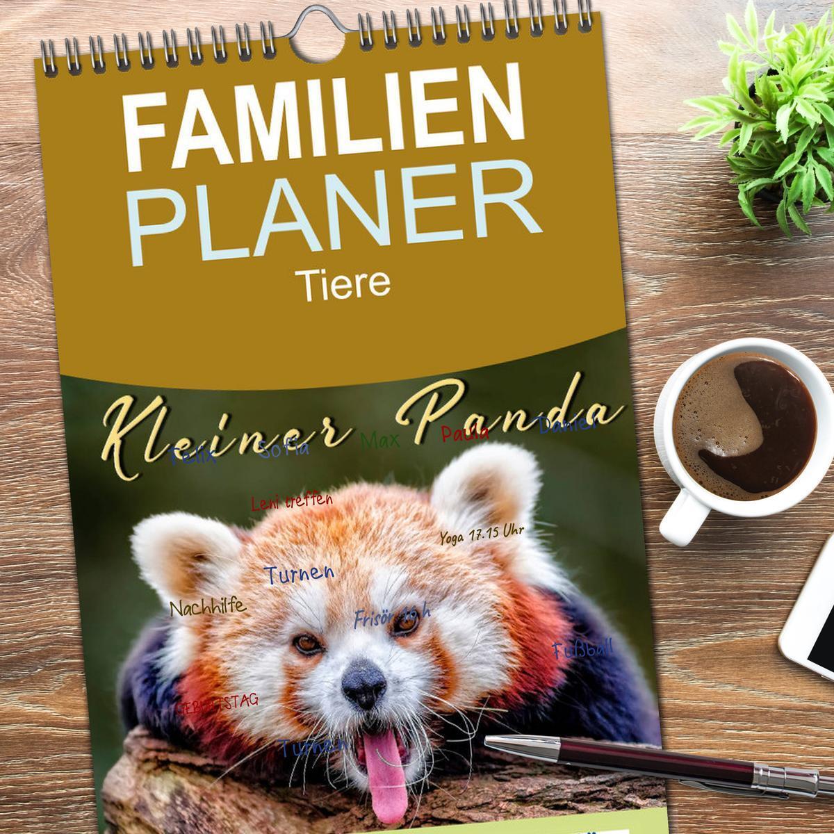 Bild: 9783457117071 | Familienplaner 2025 - Kleiner Panda mit 5 Spalten (Wandkalender, 21...