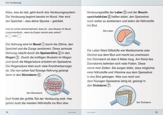 Bild: 9783939293385 | Ich kenne meinen Körper - 3 Hefte im Kombi | Katrin Langhans | Buch