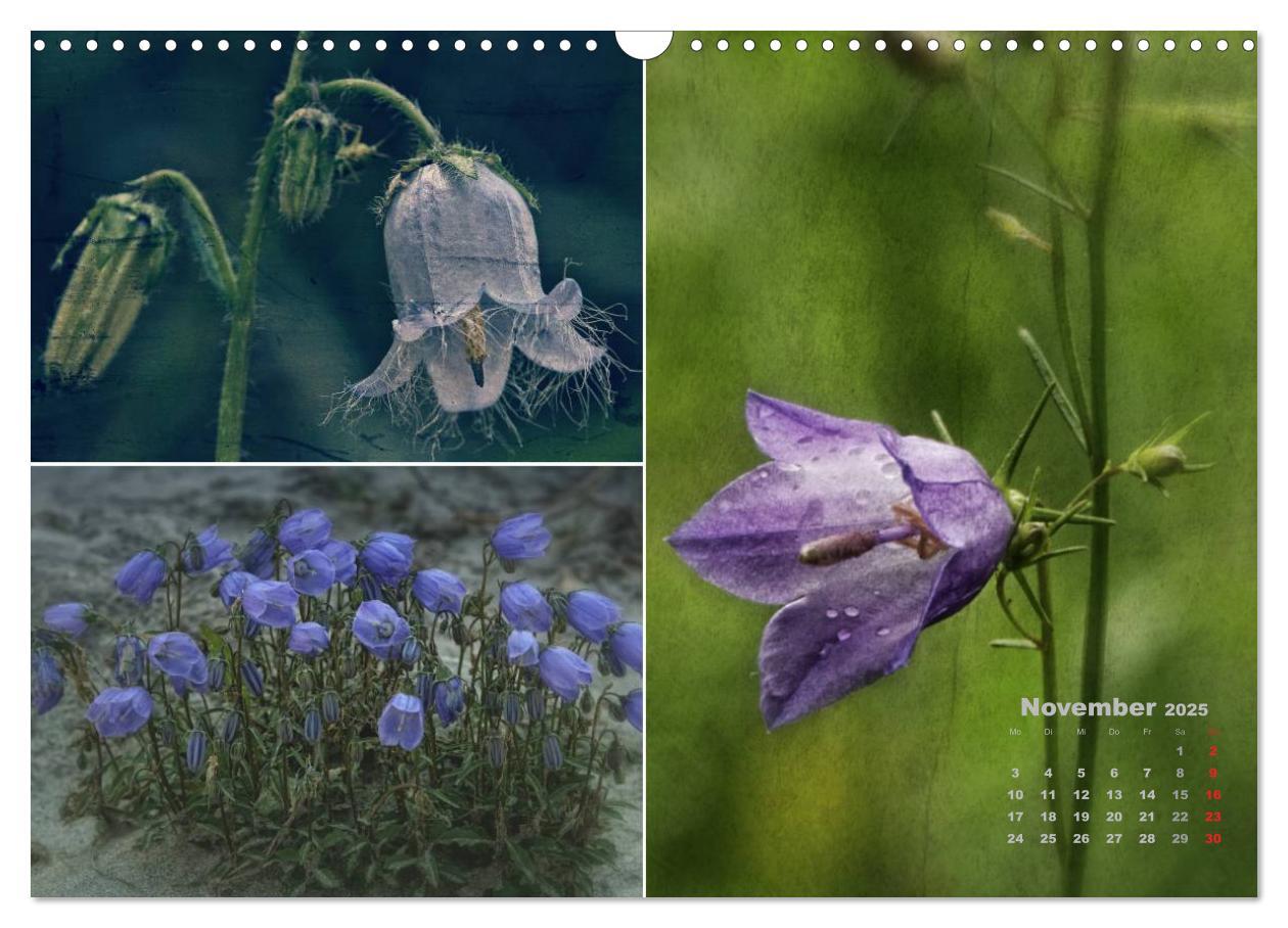 Bild: 9783435612109 | Blumenreise 2025 (Wandkalender 2025 DIN A3 quer), CALVENDO...