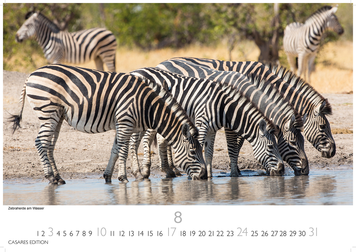 Bild: 9781835240656 | Südafrika 2025 S 24x35 cm | Kalender | 14 S. | Deutsch | 2025