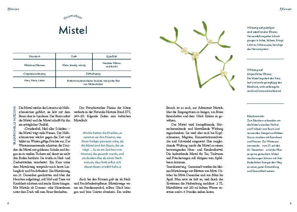 Bild: 9783708808550 | Die Heilkraft des Räucherns | Friedrich Kaindlstorfer | Taschenbuch