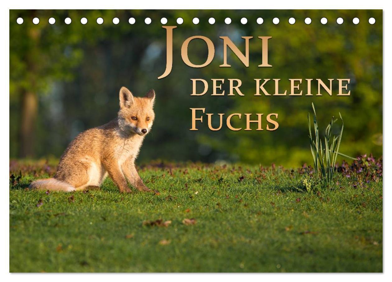 Cover: 9783435560011 | Joni, der kleine Fuchs (Tischkalender 2025 DIN A5 quer), CALVENDO...