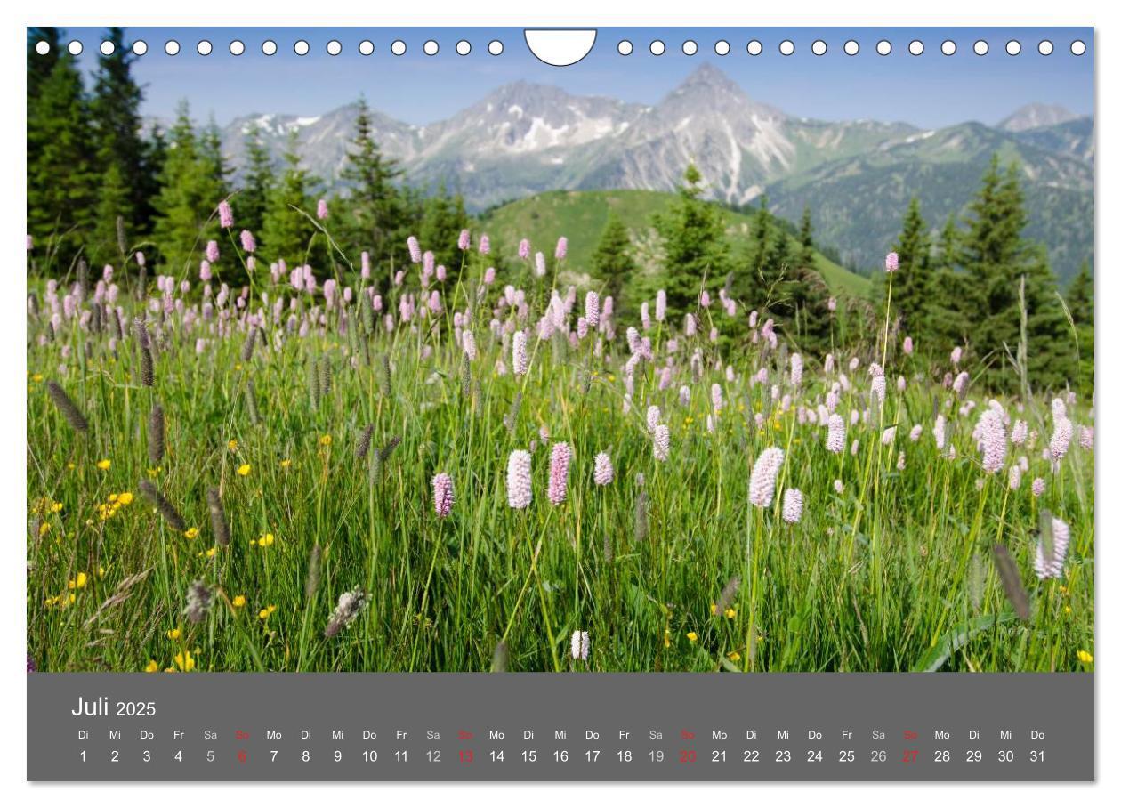 Bild: 9783435728930 | Tannheimer Tal (Wandkalender 2025 DIN A4 quer), CALVENDO...