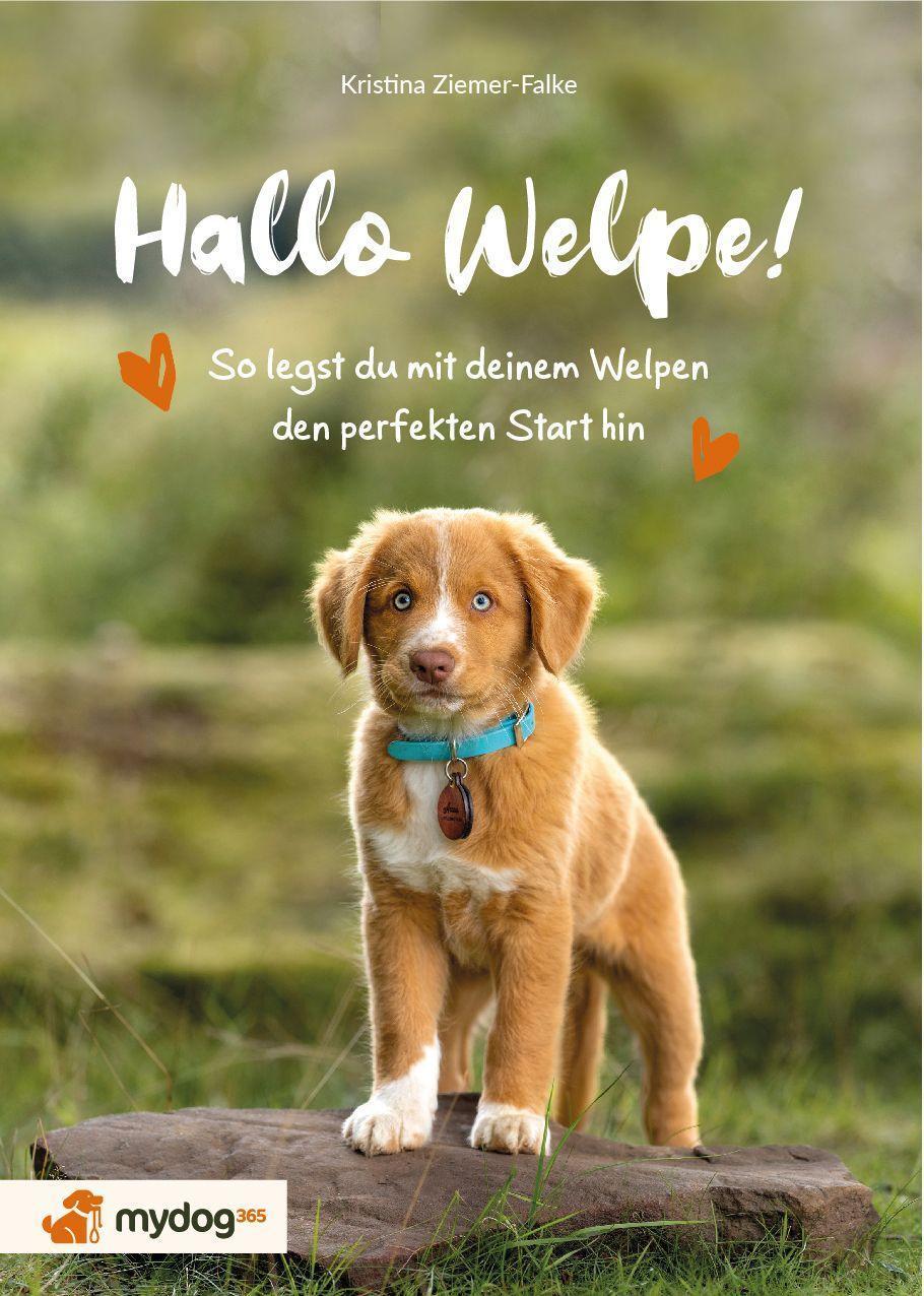 Cover: 9783942295215 | Hallo Welpe! | So legst du mit deinem Welpen den perfekten Start hin