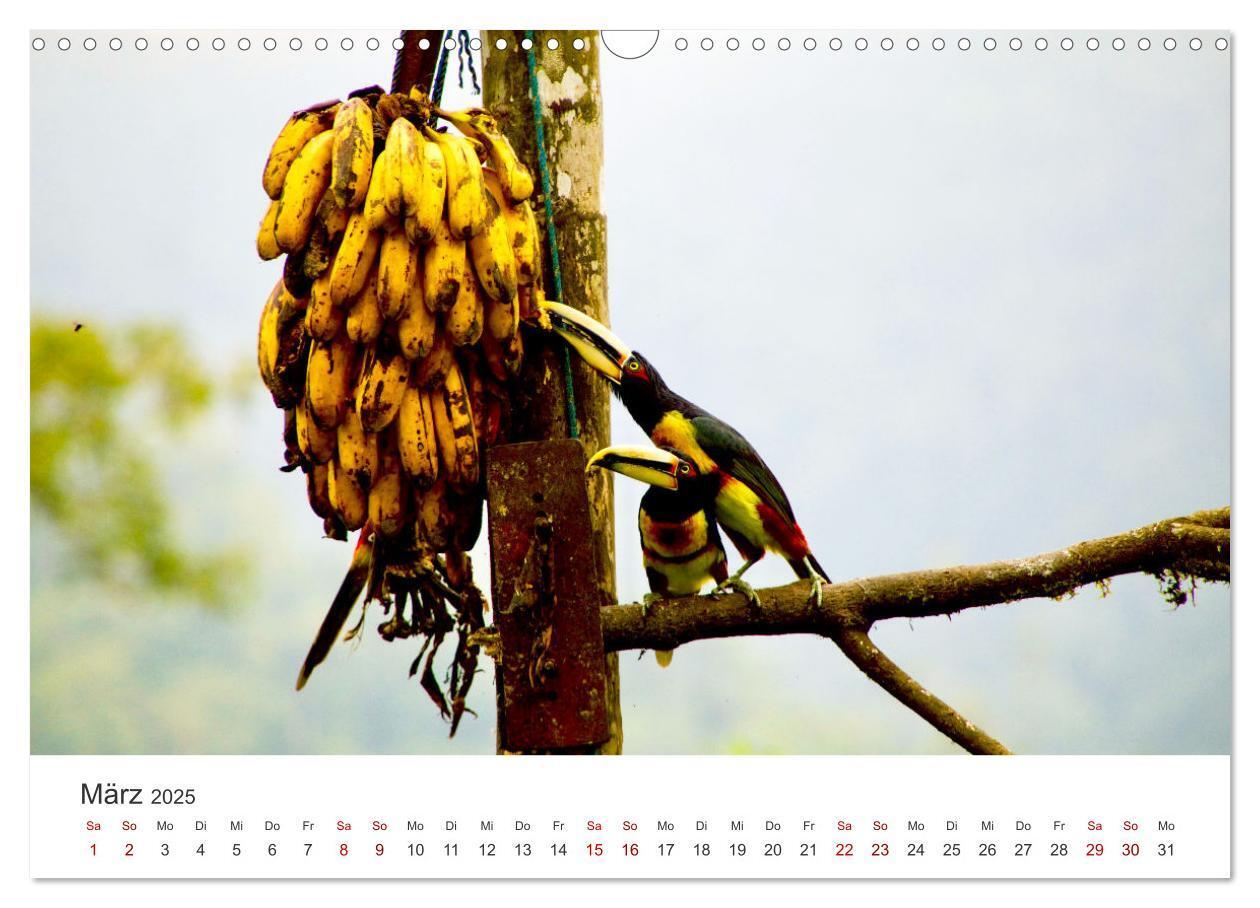 Bild: 9783435003761 | Ecuador - Unbeschreibliche Natur (Wandkalender 2025 DIN A3 quer),...