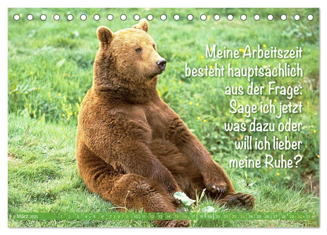 Bild: 9783383881855 | Spaß mit Bären: Edition lustige Tiere (Tischkalender 2025 DIN A5...