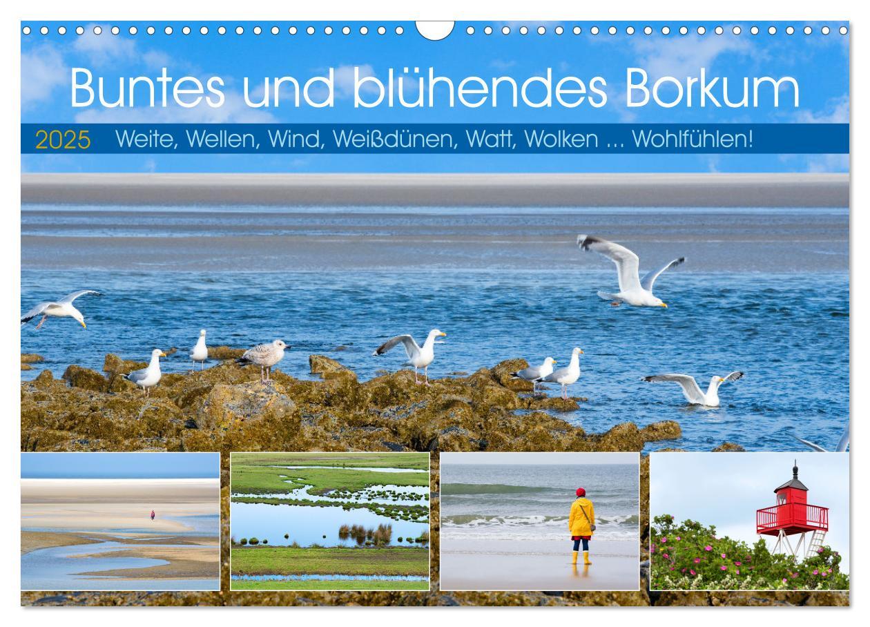 Cover: 9783457145883 | Buntes und blühendes Borkum (Wandkalender 2025 DIN A3 quer),...