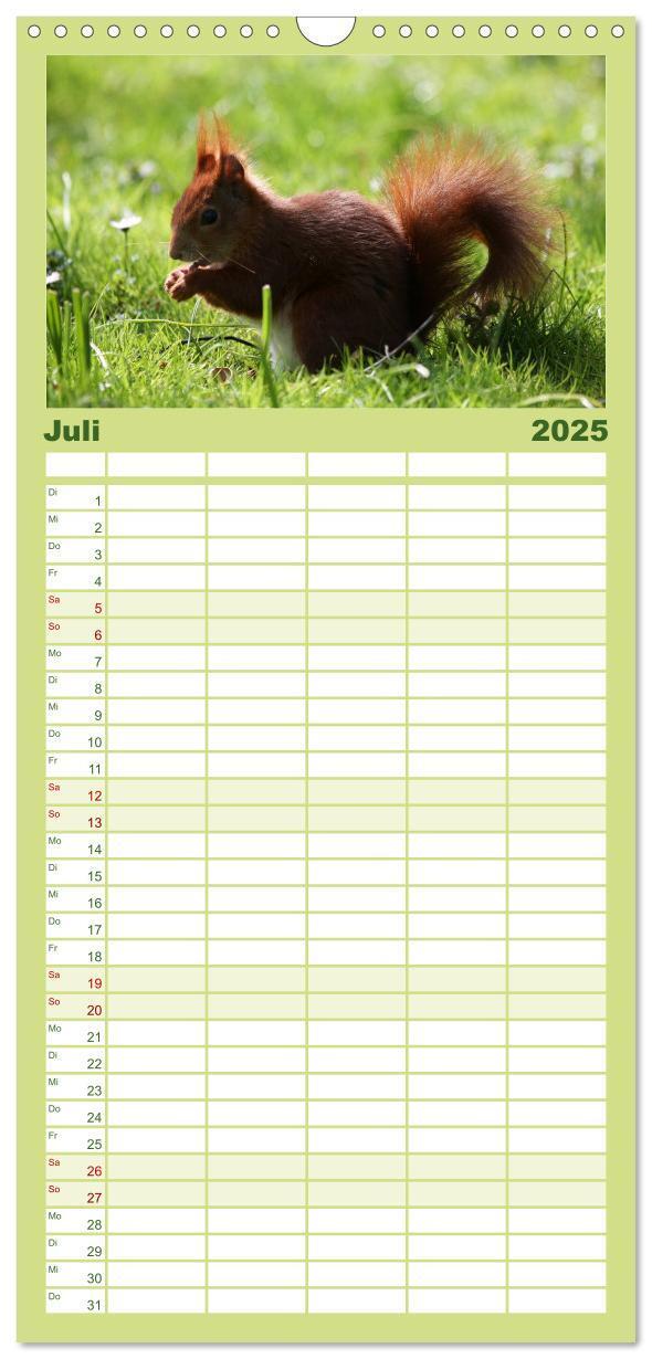 Bild: 9783457111062 | Familienplaner 2025 - Eichhörnchen mit 5 Spalten (Wandkalender, 21...