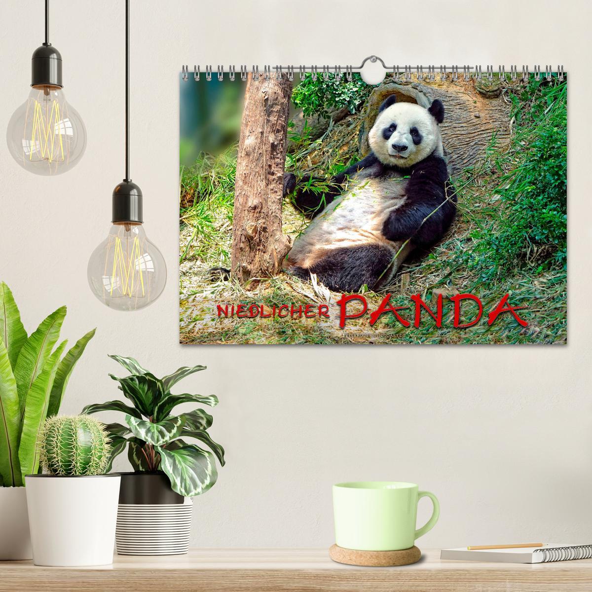 Bild: 9783435372058 | Niedlicher Panda (Wandkalender 2025 DIN A4 quer), CALVENDO...