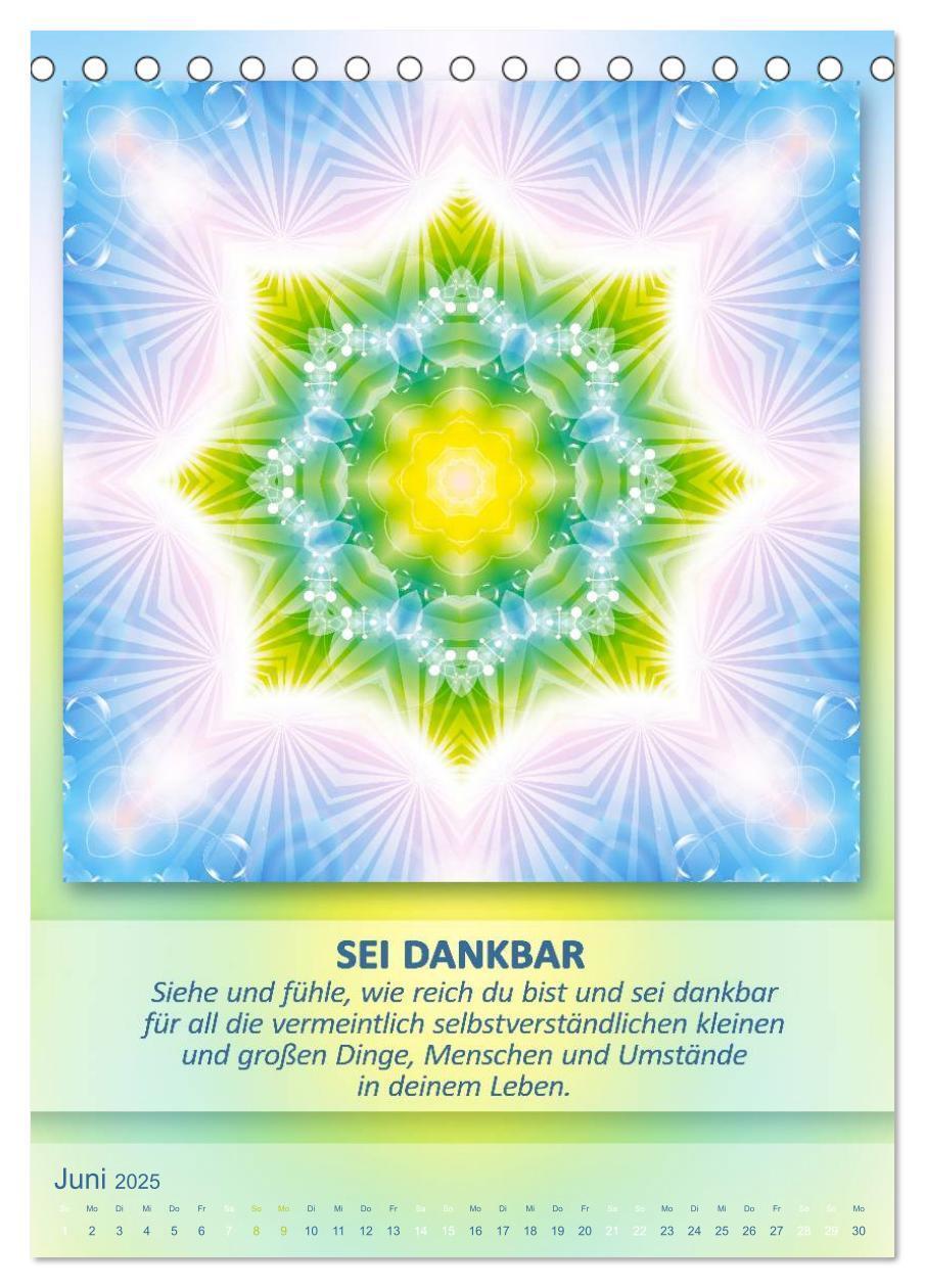 Bild: 9783457079515 | Light Energy Mandalas - Kalender - Vol. 1 (Tischkalender 2025 DIN...