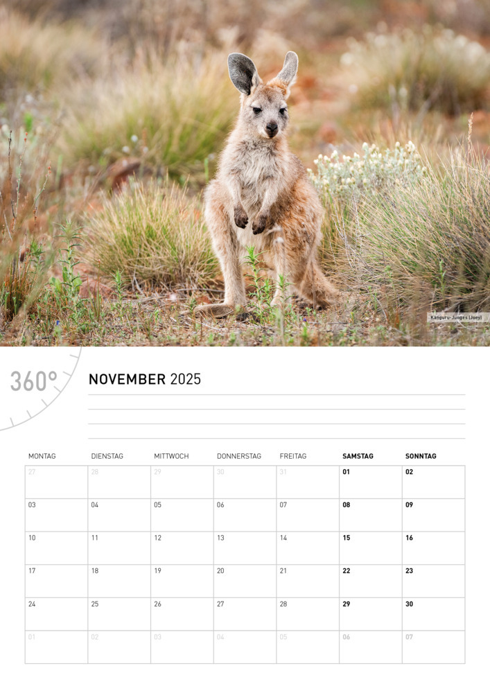 Bild: 9783968555737 | 360° Australien Broschürenkalender 2025 | Ingo Öland | Kalender | 2025