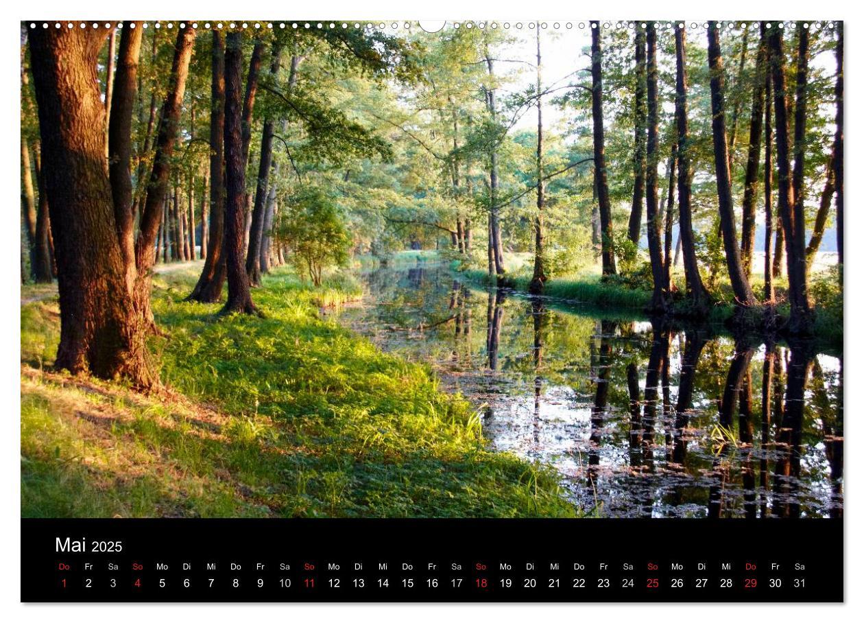 Bild: 9783435810192 | Geheimnisvoller Spreewald (Wandkalender 2025 DIN A2 quer), CALVENDO...