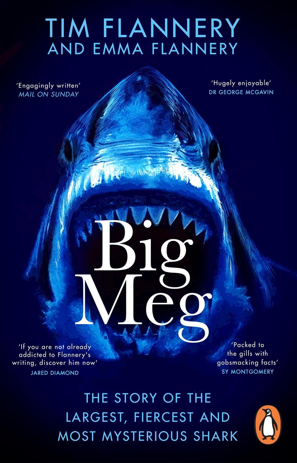 Cover: 9781804992265 | Big Meg | The Story of the Largest, Fiercest and Most Mysterious Shark