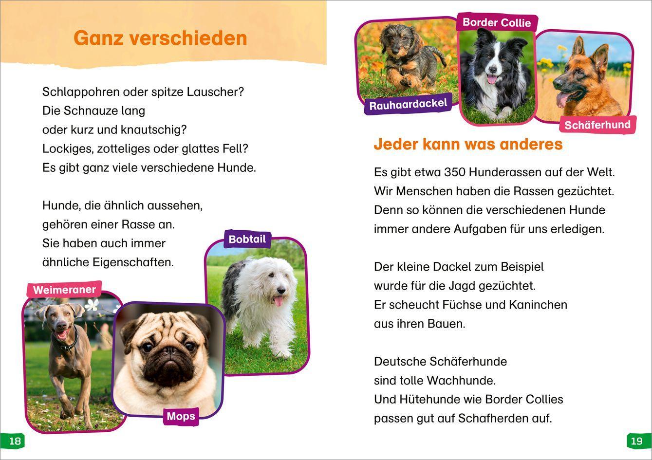 Bild: 9783788677275 | WAS IST WAS Erstes Lesen easy! Band 9. Hunde - meine Lieblingstiere