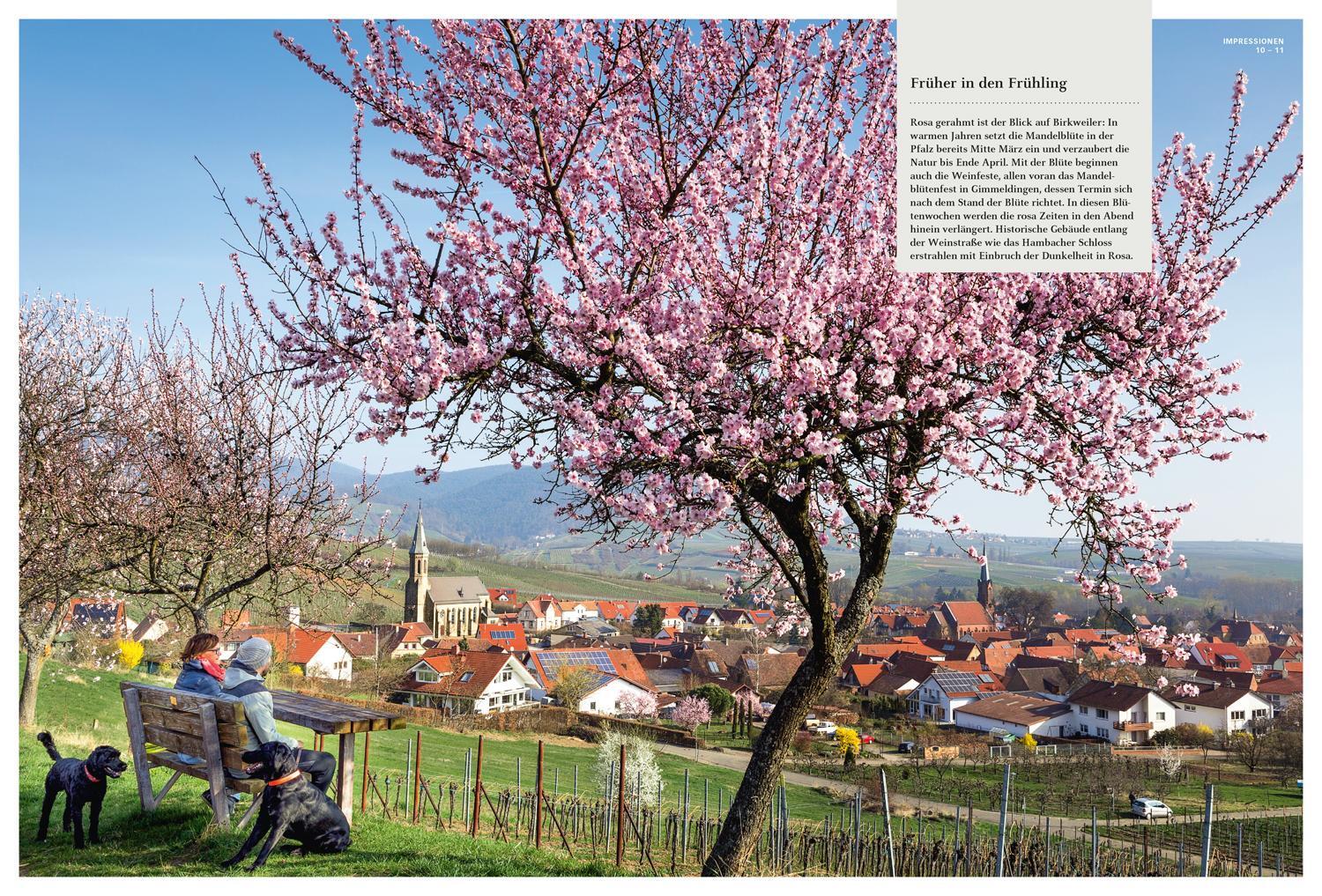 Bild: 9783770191987 | DuMont Bildatlas Deutschland | Die grüne Mitte | Taschenbuch | 217 S.