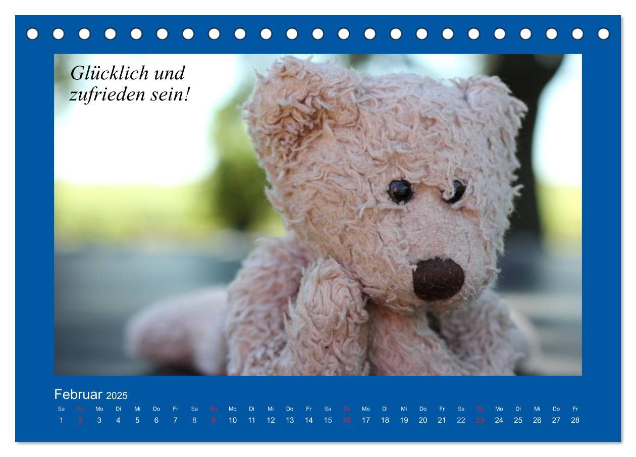 Bild: 9783435593972 | Sommer im Teddy-Land. Bär und Freunde (Tischkalender 2025 DIN A5...