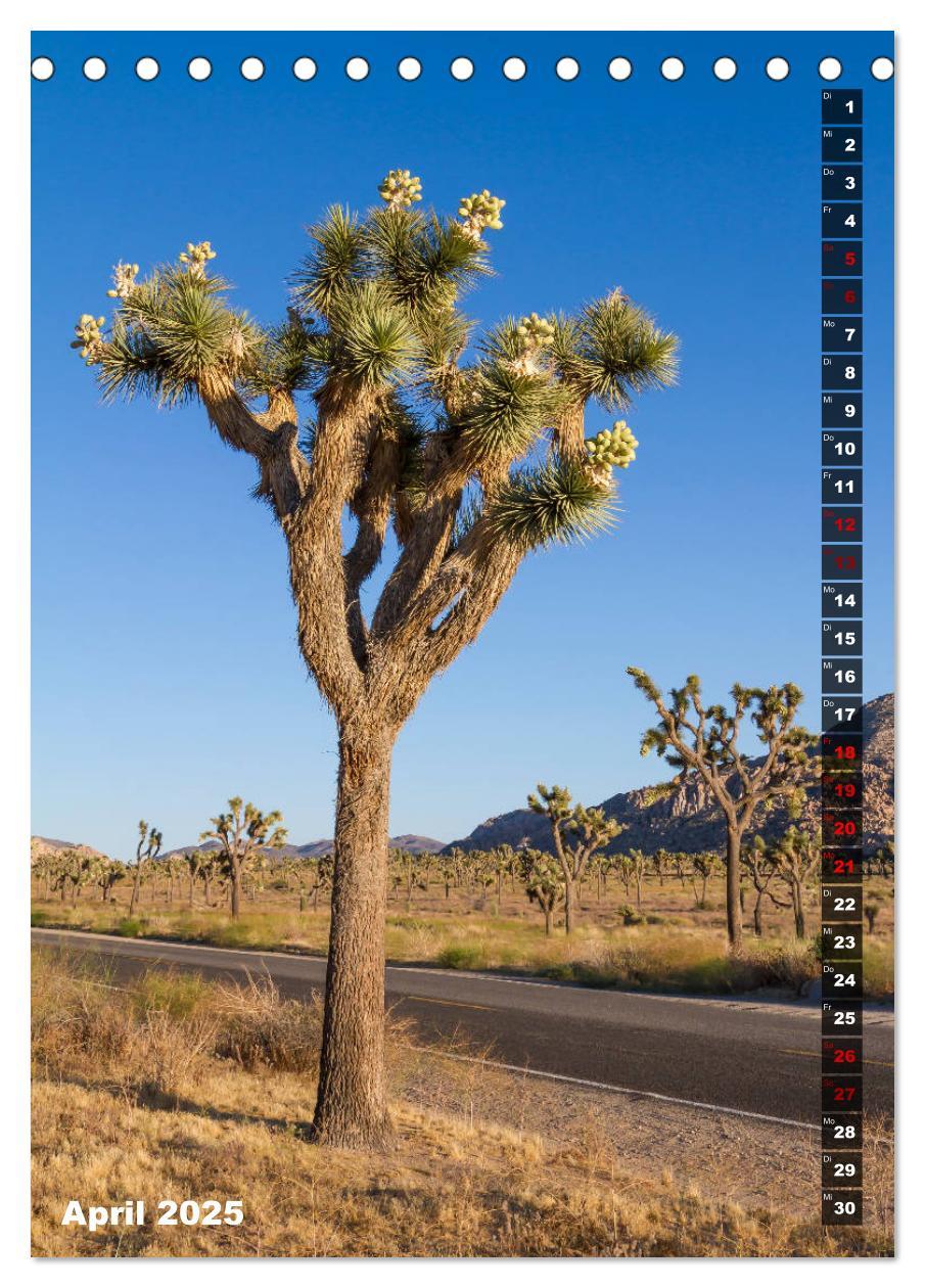 Bild: 9783435961108 | Impressionen aus dem JOSHUA TREE NATIONAL PARK (Tischkalender 2025...