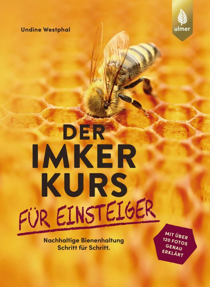 Cover: 9783818613143 | Der Imkerkurs für Einsteiger | Undine Westphal | Taschenbuch | 160 S.