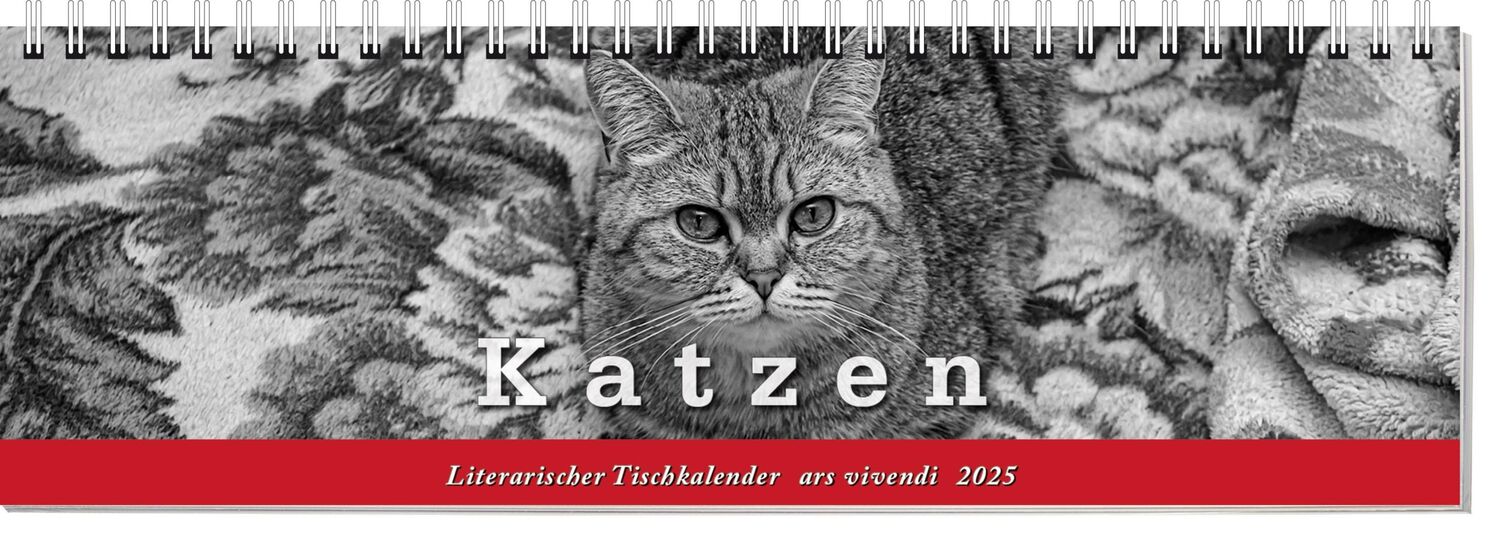 Cover: 9783747205716 | Tischkalender Katzen 2025 | Tischkalender | ars vivendi verlag | 53 S.