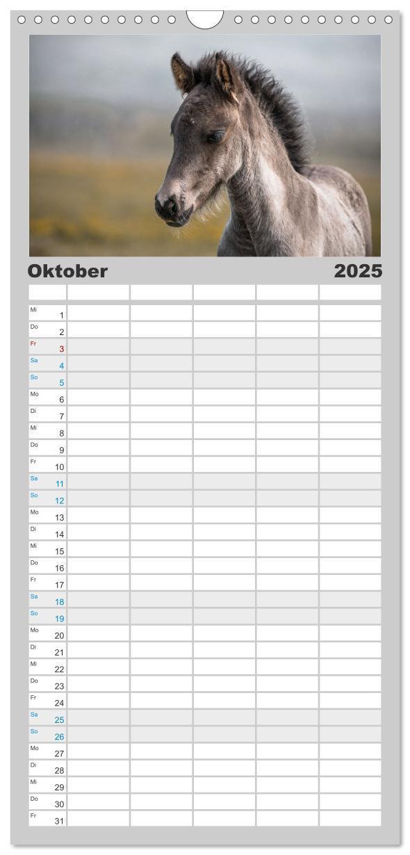 Bild: 9783457101568 | Familienplaner 2025 - Islandpferde Kalender - Pferde von der Insel...