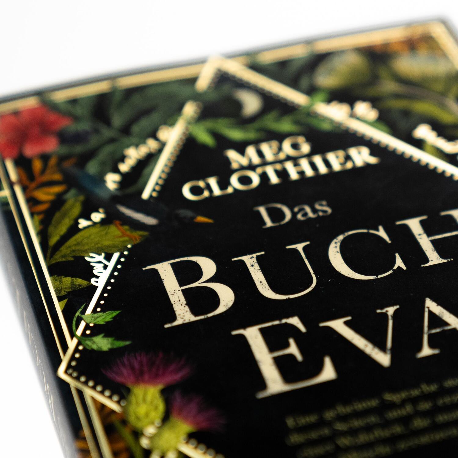 Bild: 9783365004265 | Das Buch Eva | Meg Clothier | Taschenbuch | 368 S. | Deutsch | 2023