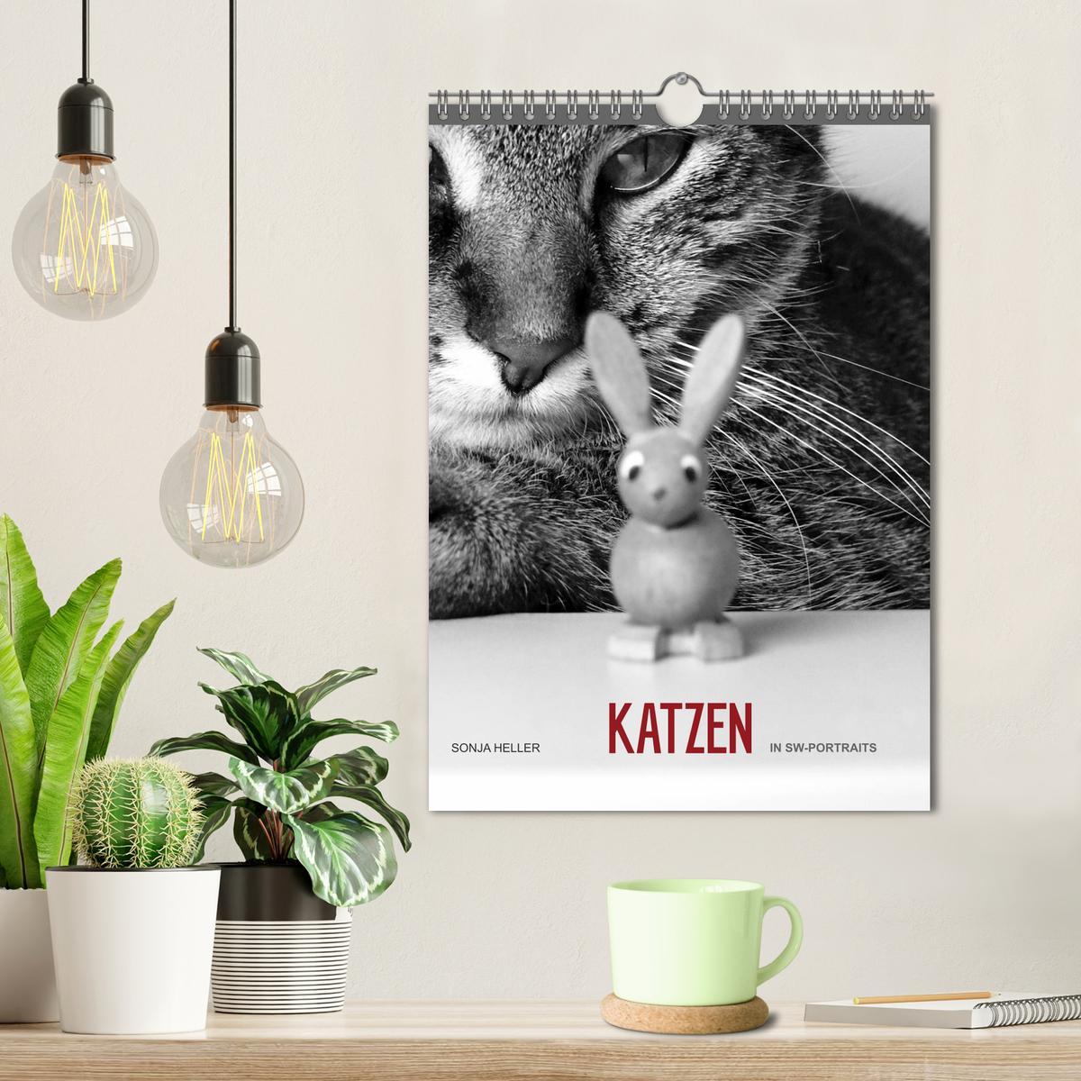 Bild: 9783457061961 | Sonja Heller Katzen in SW-Portraits (Wandkalender 2025 DIN A4...