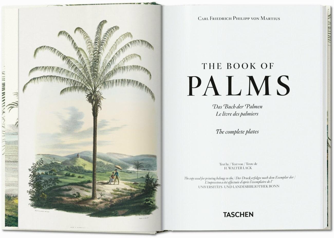 Bild: 9783836587815 | Martius. The Book of Palms | H. Walter Lack | Buch | GER, Hardcover