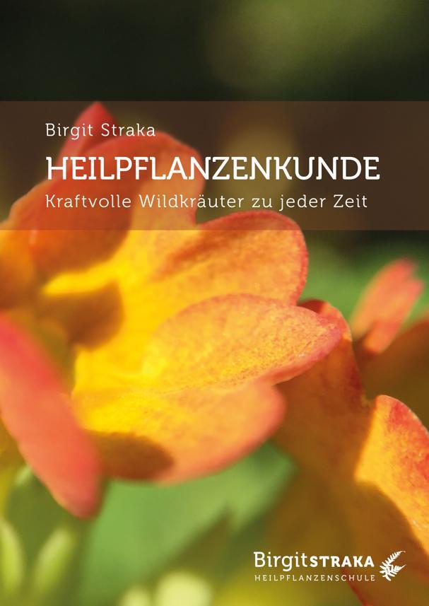 Cover: 9783907246641 | Heilpflanzenkunde | Kraftvolle Wildkräuter zu jeder Zeit | Straka