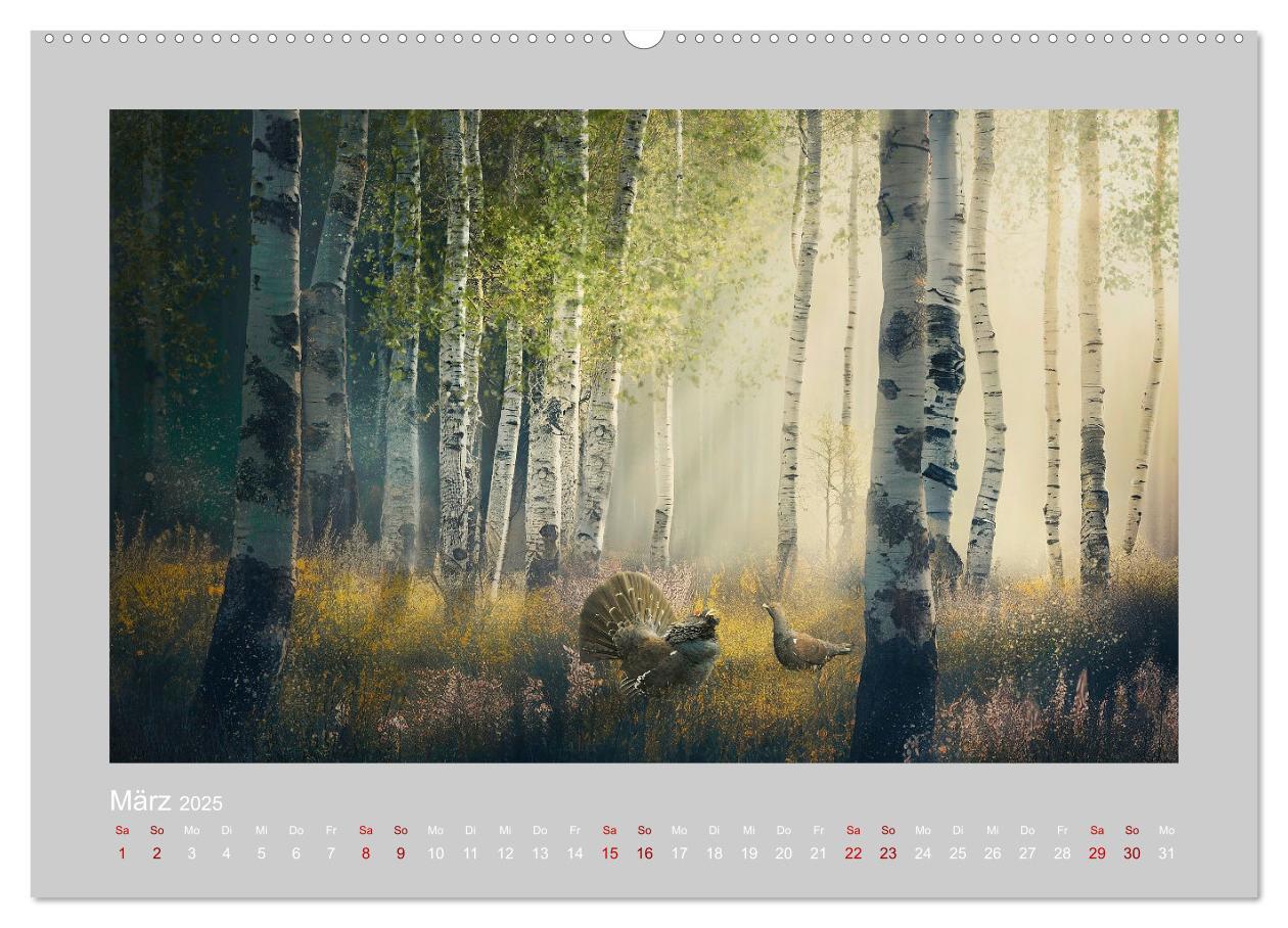 Bild: 9783383872440 | Wald der Märchen (hochwertiger Premium Wandkalender 2025 DIN A2...