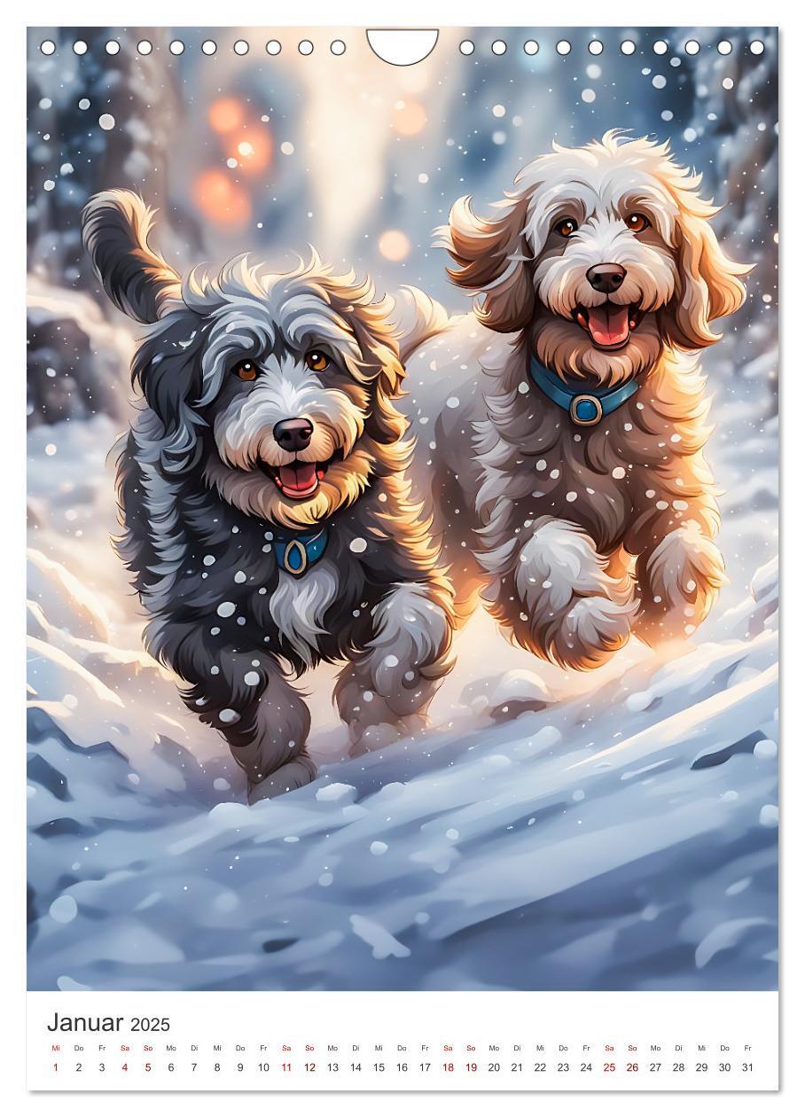 Bild: 9783383807046 | Der Aussiedoodle - Lebensfreude pur (Wandkalender 2025 DIN A4...