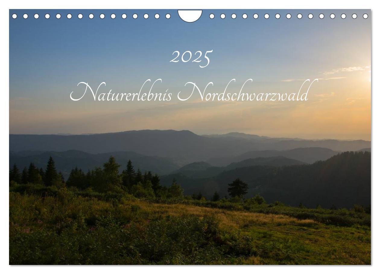 Cover: 9783435580118 | Naturerlebnis Nordschwarzwald (Wandkalender 2025 DIN A4 quer),...