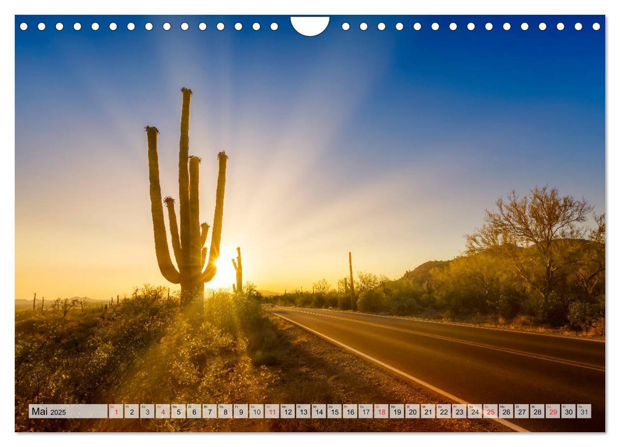 Bild: 9783435203079 | SAGUARO NATIONAL PARK Heimat des Saguaro-Kaktus (Wandkalender 2025...