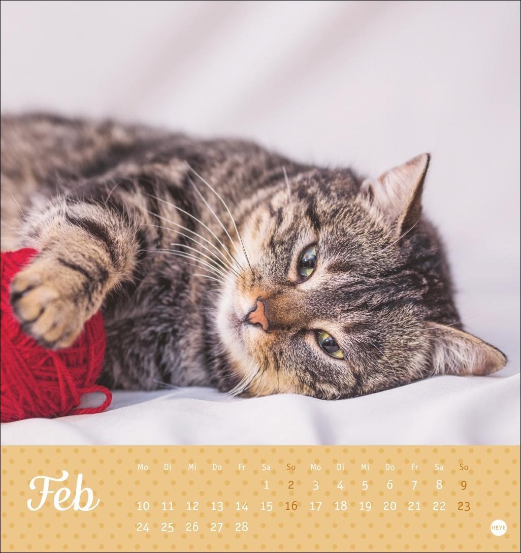 Bild: 9783756407026 | Katzen Postkartenkalender Kleine Tiger 2025 | Heye | Kalender | 13 S.