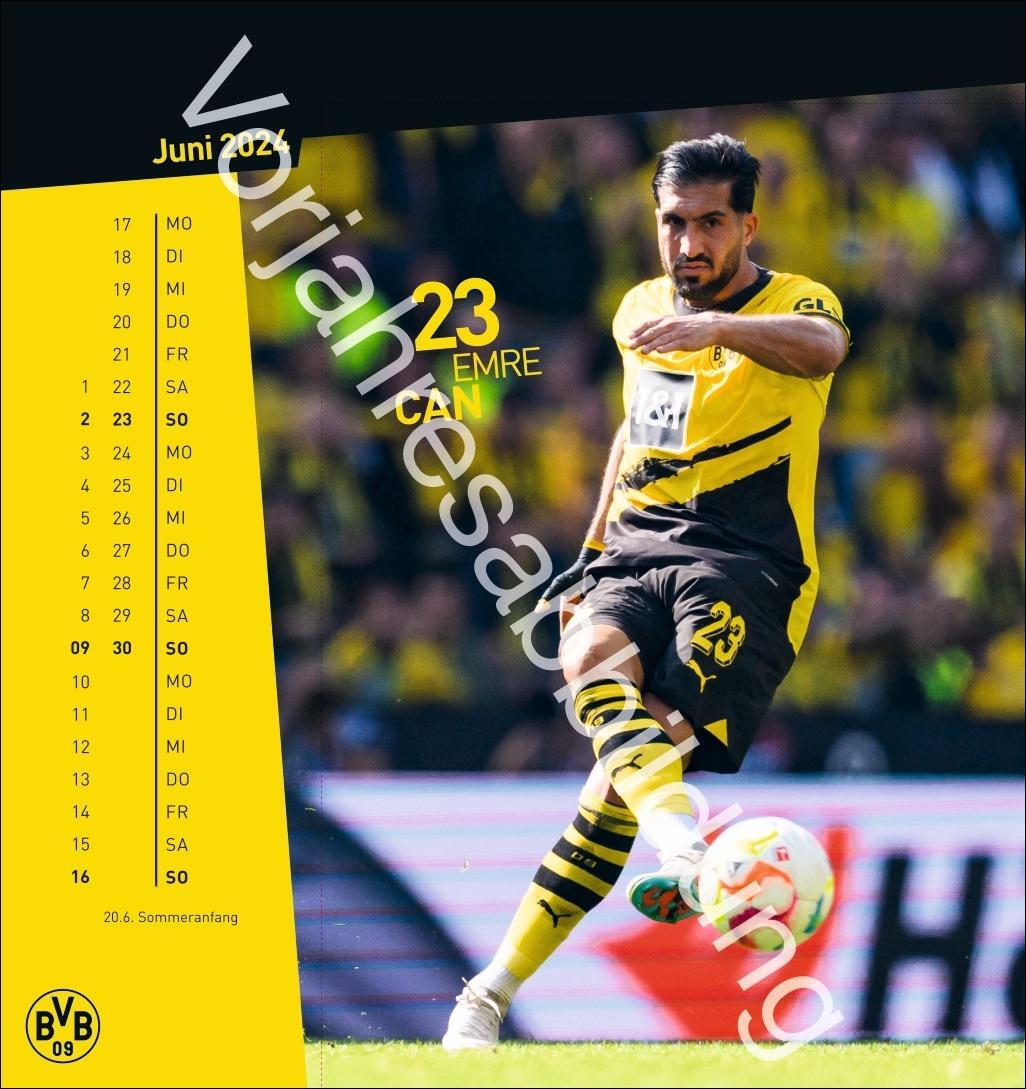 Bild: 9783756405473 | BVB Postkartenkalender 2025 | Heye | Kalender | Spiralbindung | 13 S.