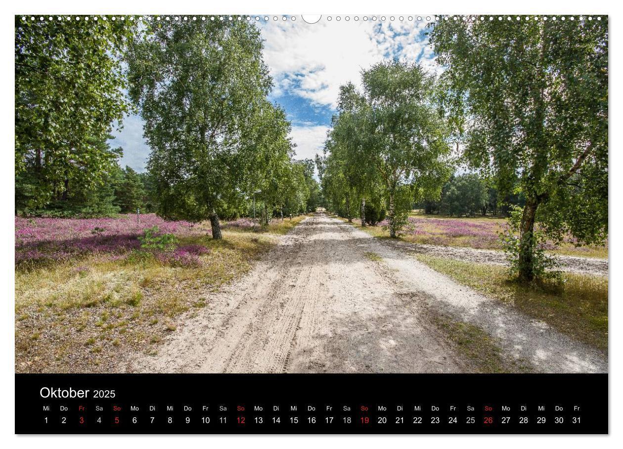 Bild: 9783435775040 | Lüneburger Heide (Wandkalender 2025 DIN A2 quer), CALVENDO...