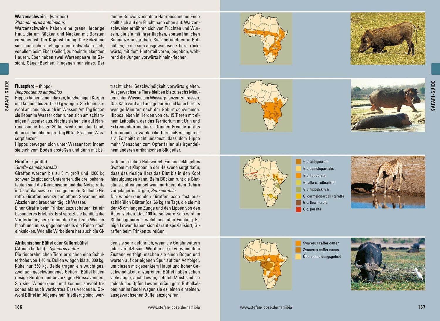 Bild: 9783770166435 | Stefan Loose Reiseführer Namibia | mit Reiseatlas und Safari-Guide