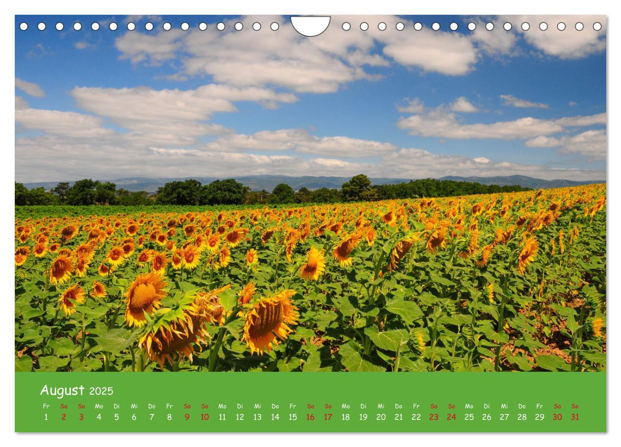 Bild: 9783435349937 | Quer durch Südfrankreich (Wandkalender 2025 DIN A4 quer), CALVENDO...