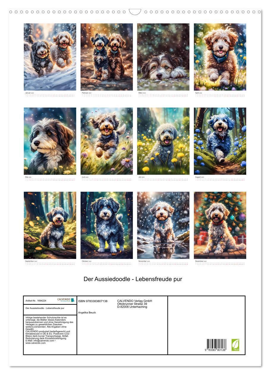 Bild: 9783383807138 | Der Aussiedoodle - Lebensfreude pur (Wandkalender 2025 DIN A2...