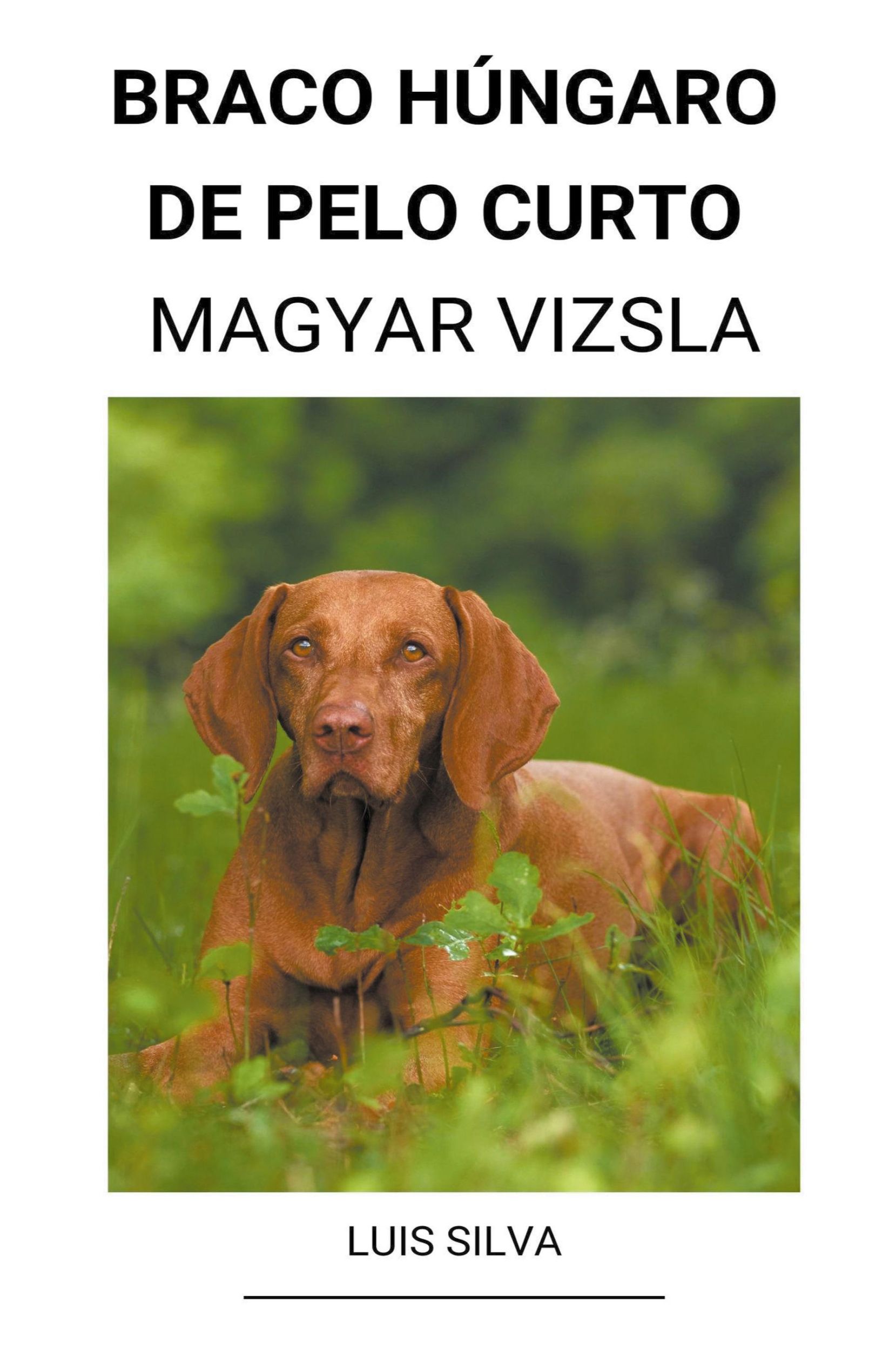 Cover: 9798201216832 | Braco Húngaro de pelo curto (Magyar Vizsla) | Luis Silva | Buch