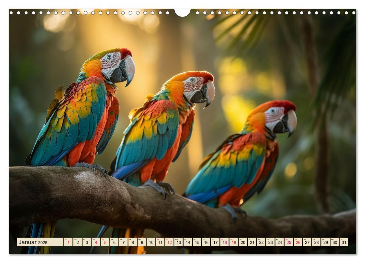 Bild: 9783383906381 | Papageien - Ara (Wandkalender 2025 DIN A3 quer), CALVENDO...