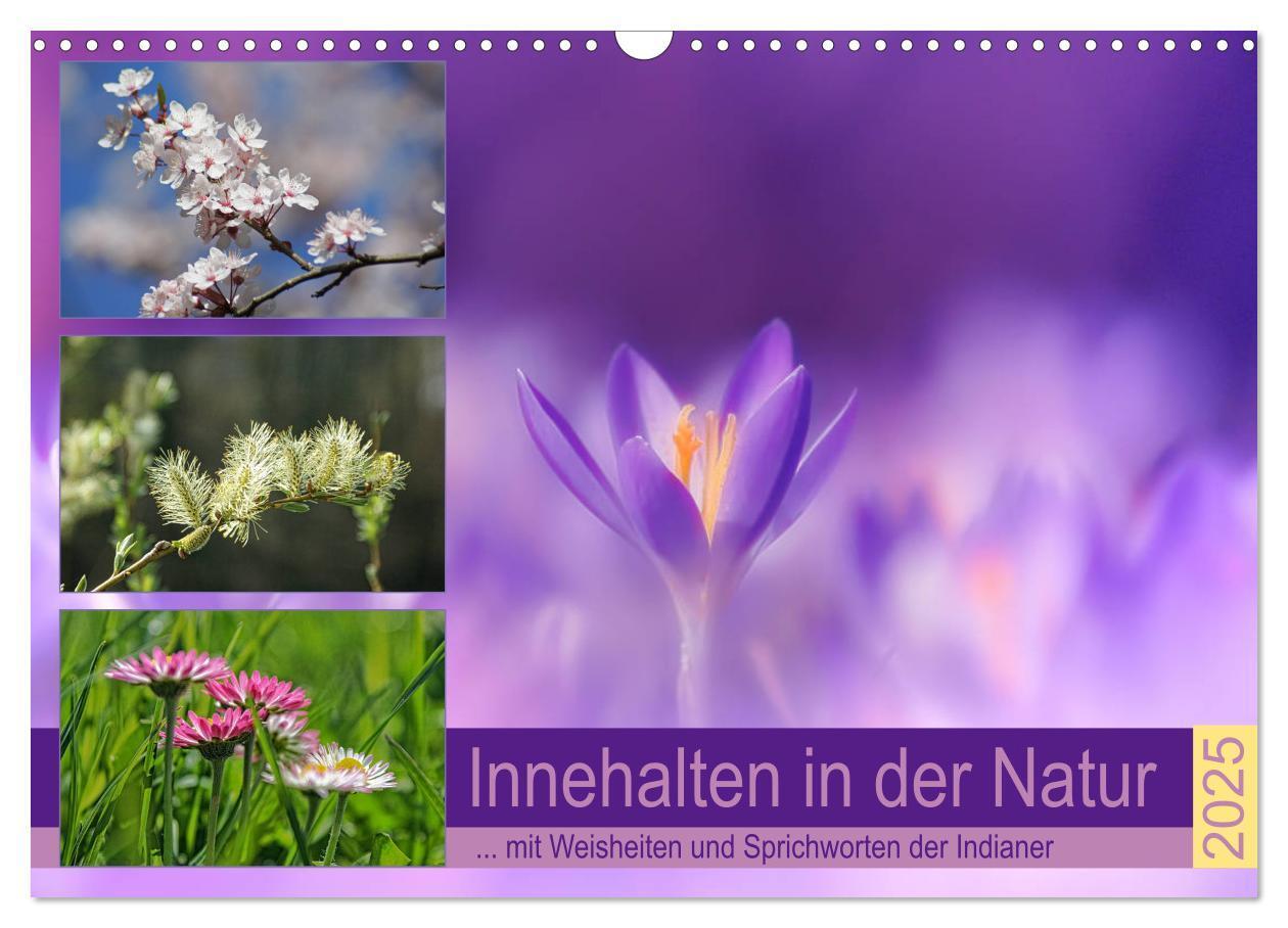 Cover: 9783435323173 | Innehalten in der Natur ... mit Weisheiten und Sprichworten der...