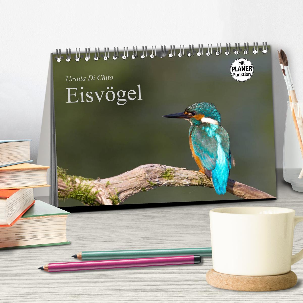 Bild: 9783435795864 | Eisvögel (Tischkalender 2025 DIN A5 quer), CALVENDO Monatskalender