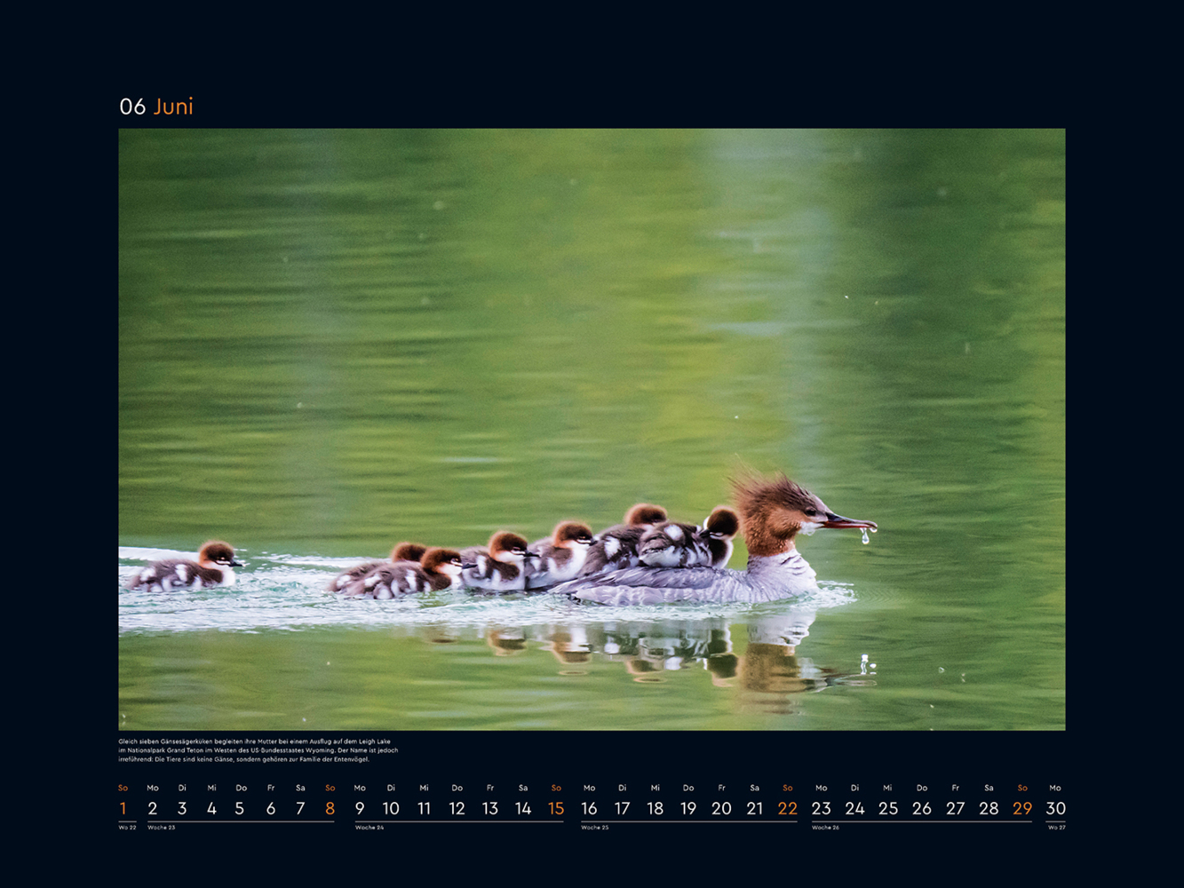 Bild: 9783965913639 | Tierfamilien rund um die Welt - KUNTH Wandkalender 2025 | Kalender