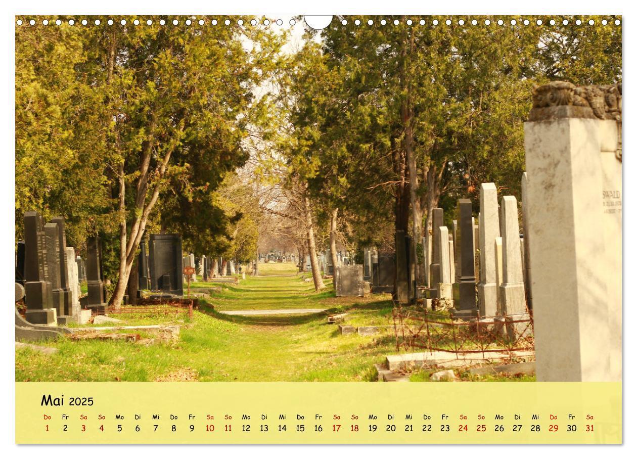 Bild: 9783457205877 | Am Zentralfriedhof in Wien (Wandkalender 2025 DIN A3 quer),...