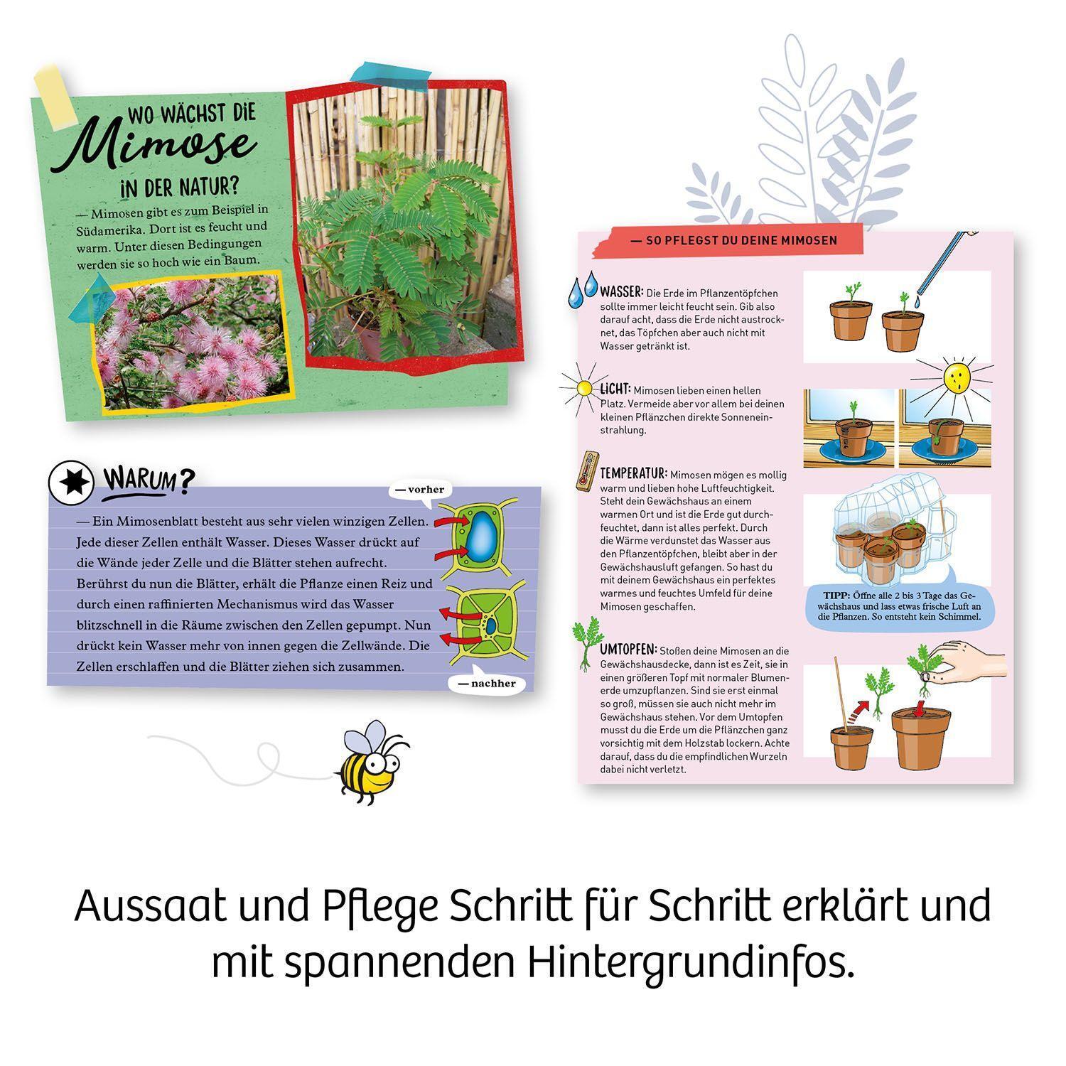 Bild: 4002051657802 | Mimosen-Garten | Experimentierkasten | Spiel | Brettspiel | 657802