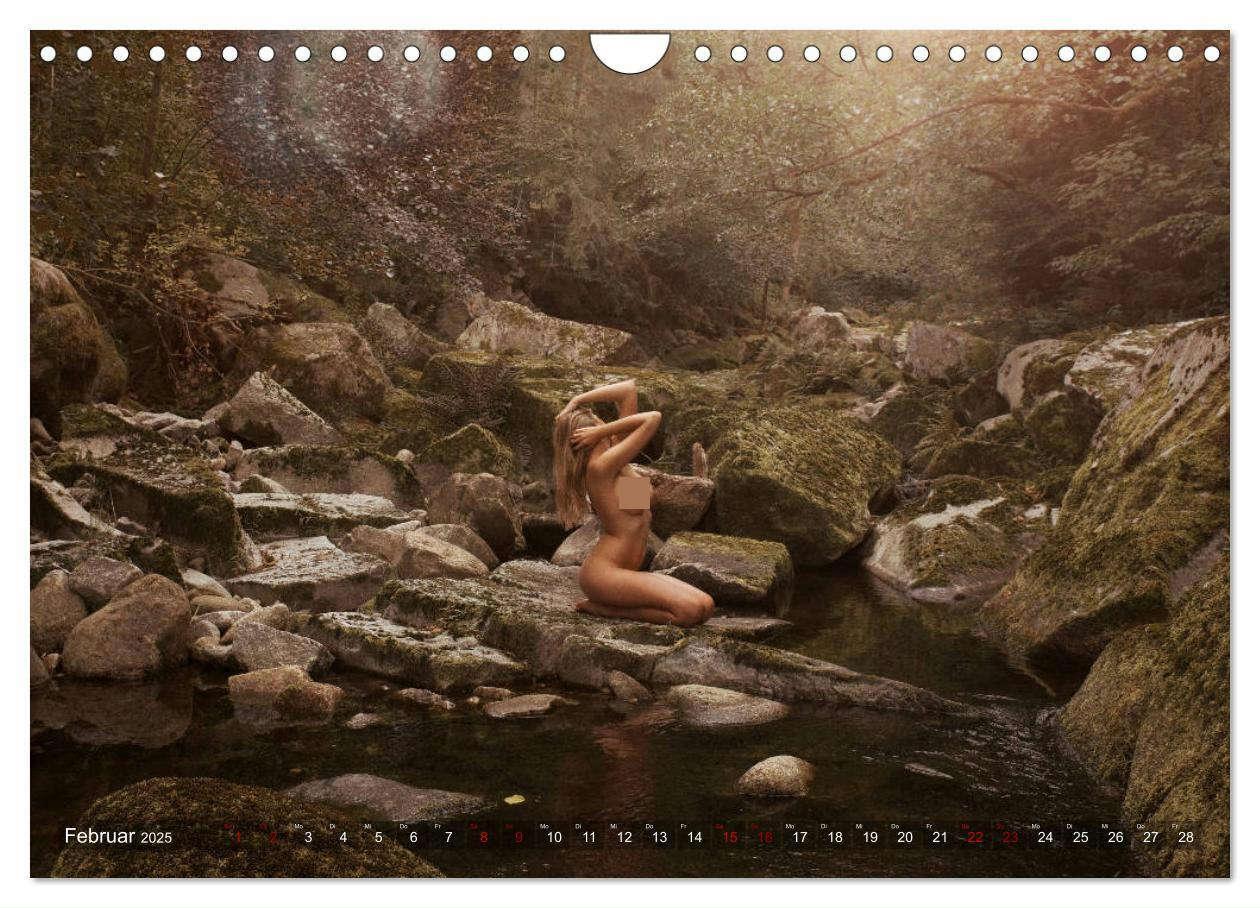 Bild: 9783435285426 | Erotischer Schwarzwald (Wandkalender 2025 DIN A4 quer), CALVENDO...