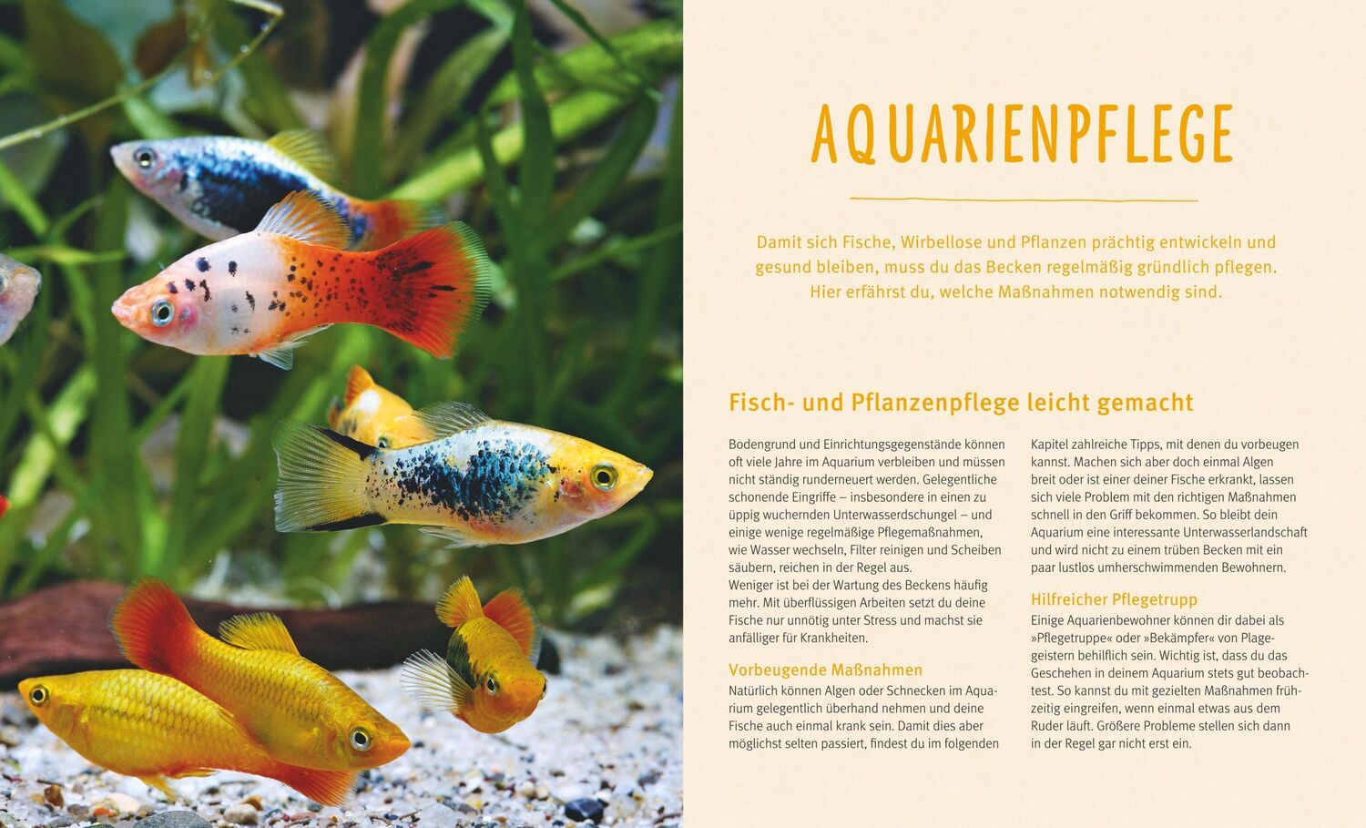 Bild: 9783833836435 | Aquarien - Spaß für Kinder | Spannende Unterwasserwelt | Koslowski