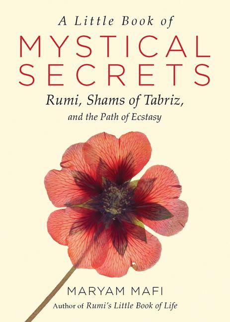 Cover: 9781571747457 | A Little Book of Mystical Secrets | Maryam Mafi | Taschenbuch | 2017